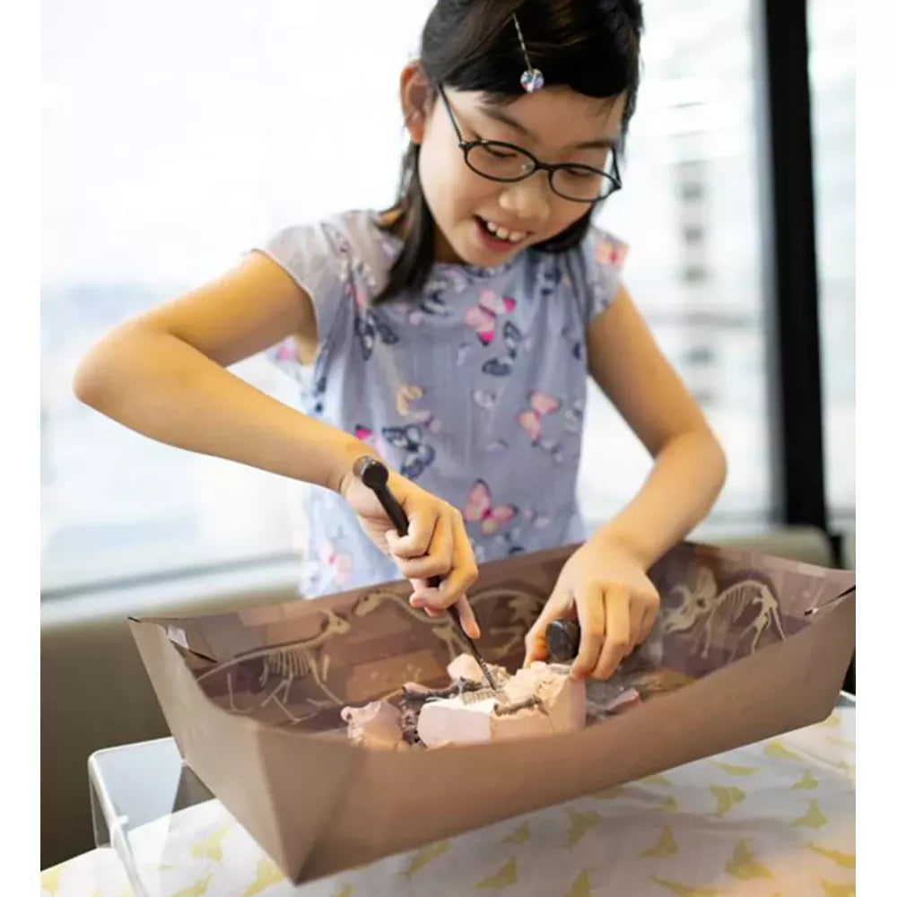 Bambina scava con il Kit STEM Il Mondo dei Dinosauri 4M