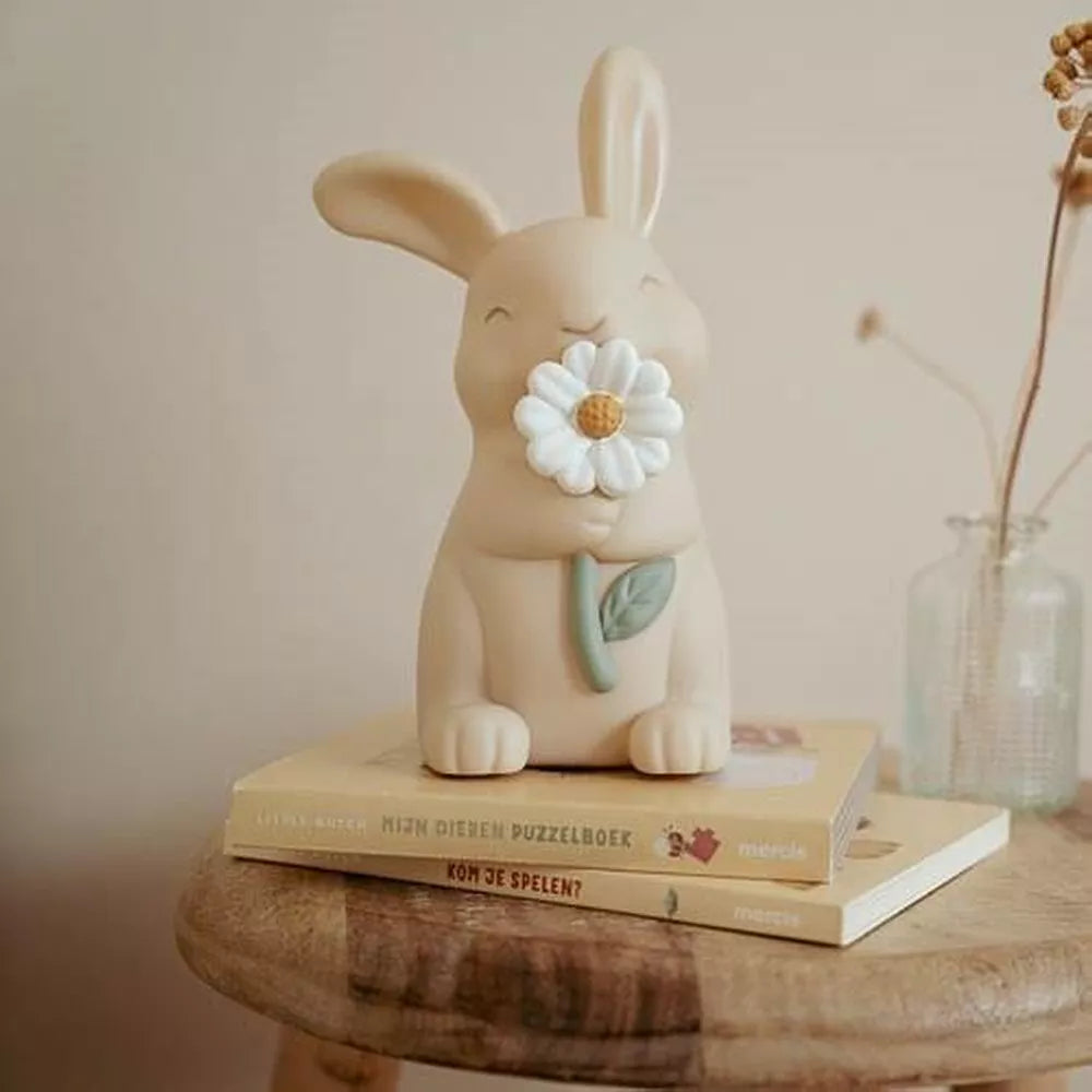 Esempio Luce da Notte Coniglietto Little Dutch
