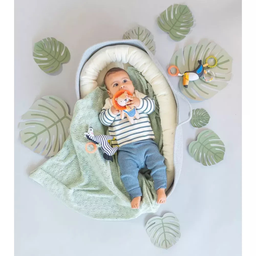 Esempio Sonaglio da Appendere Tucano Taf Toys