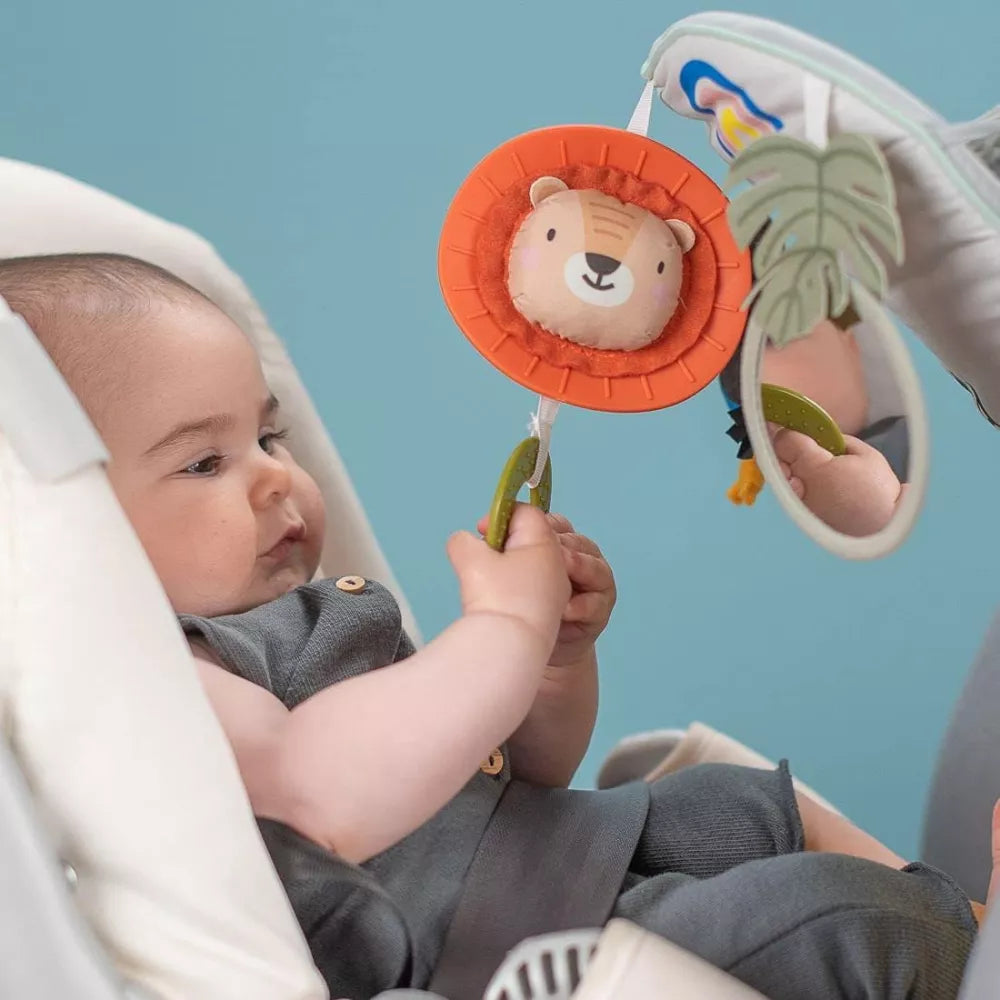 Bambino con il Gioco da Calciare Savana per Auto Taf Toys
