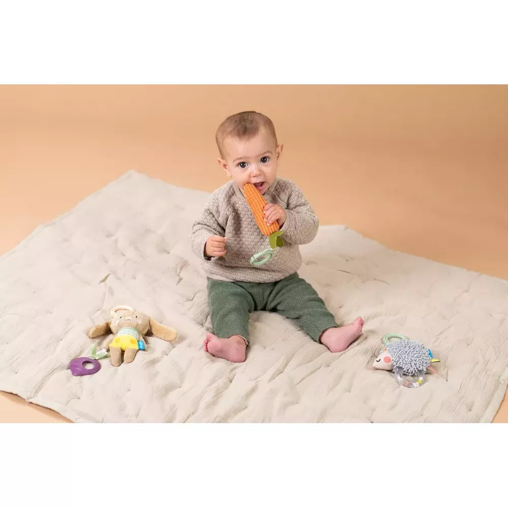 Bambino gioca con il Set Sonagli da Appendere Taf Toys