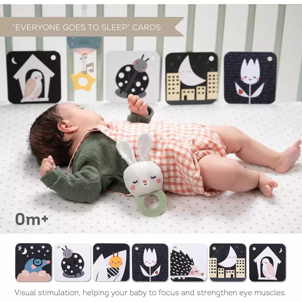Bambina gioca con le schede del Cofanetto Nascita per la Nanna Taf Toys