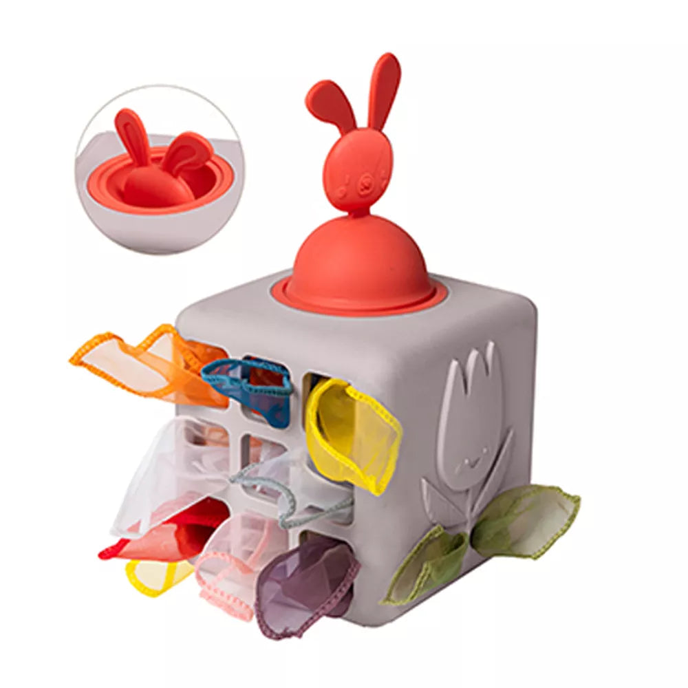 Scatola di Fazzoletti Pop Up Taf Toys