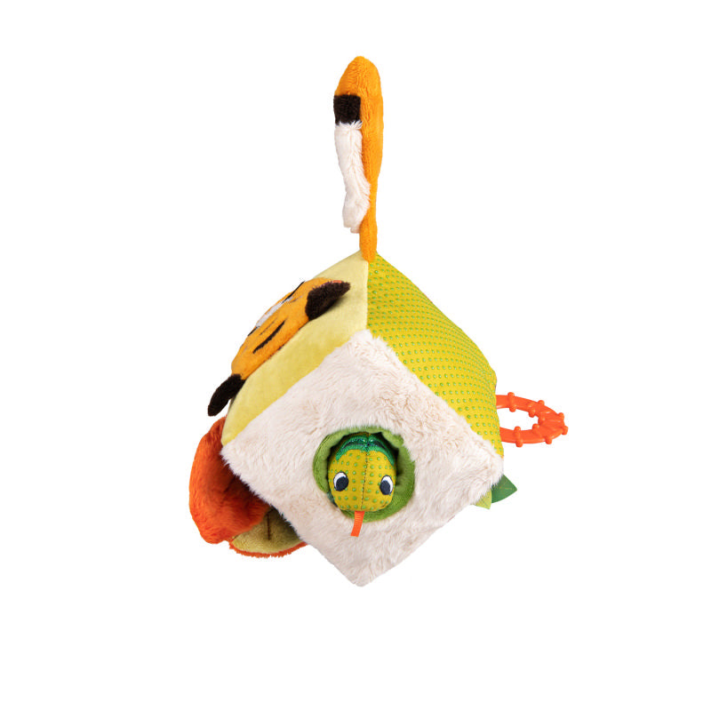 cubo tigre attività dettaglio