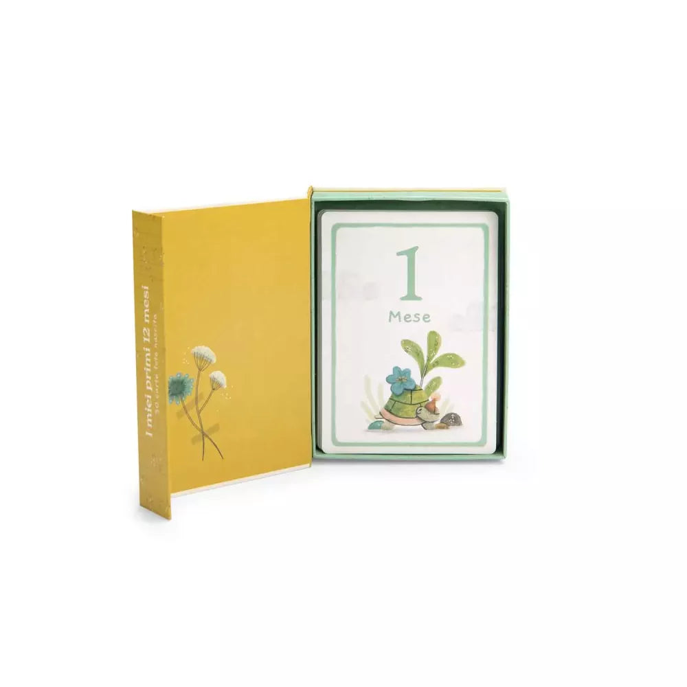Esempio Carte Primi 12 Mesi Moulin Roty Trois Petits Lapins