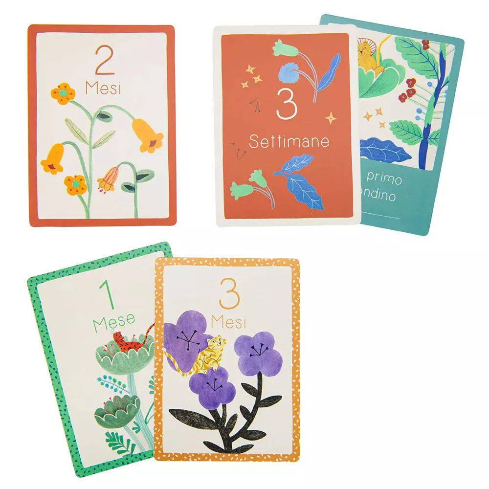 Esempio Carte Primi 12 Mesi Moulin Roty La Foret Mawa