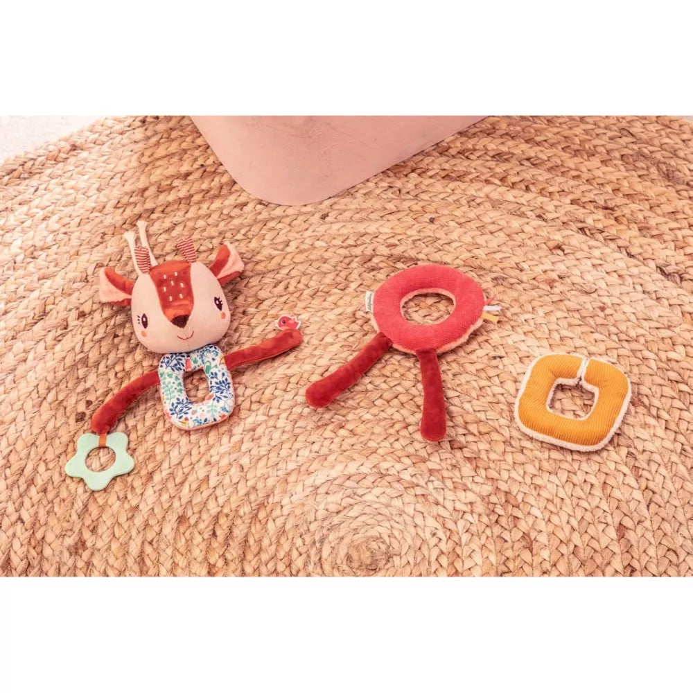 Anelli Divisi della Catena Multiattività Stella Lilliputiens