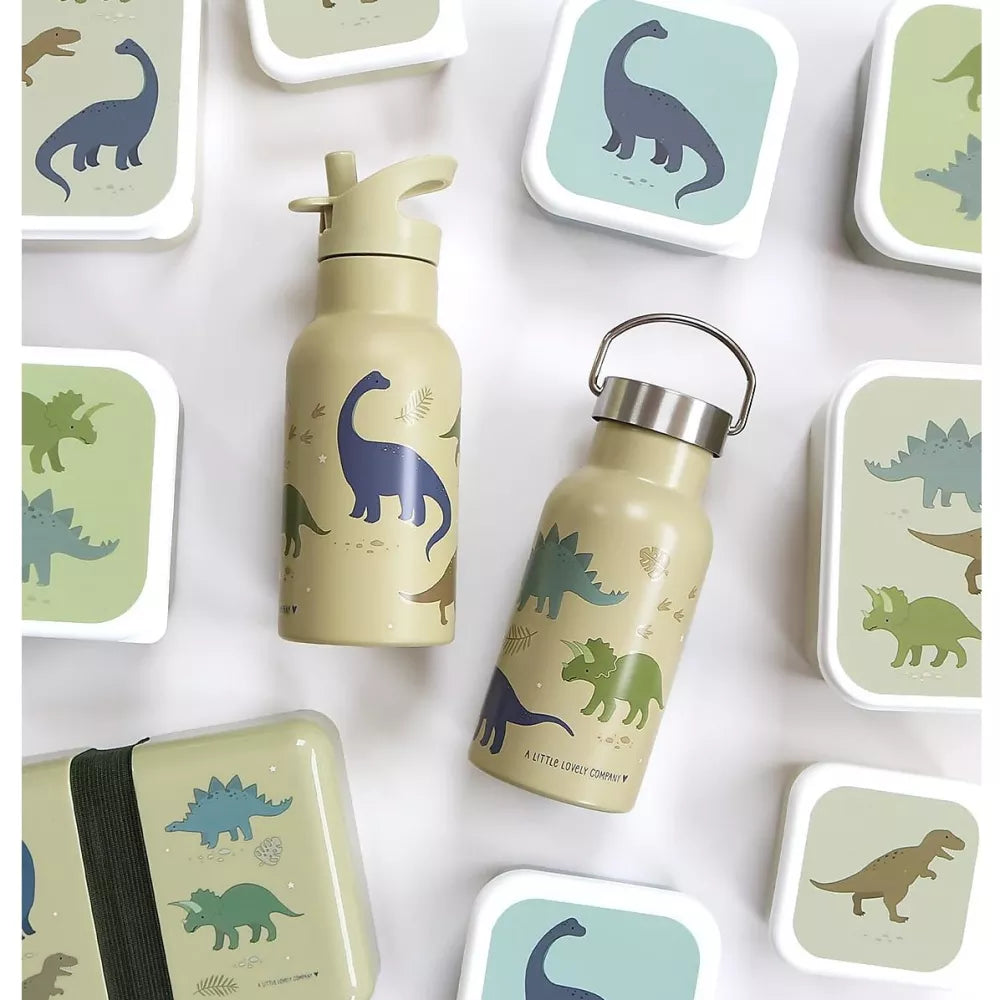 Borraccia Termica 350 ml A Little Lovely Company Dinosauri esempio