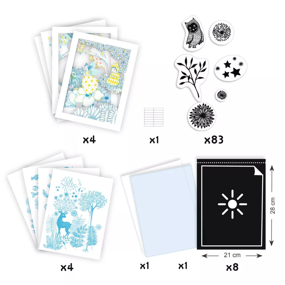 Contenuto del Set Cianotipia Al Chiaro di Luna Djeco