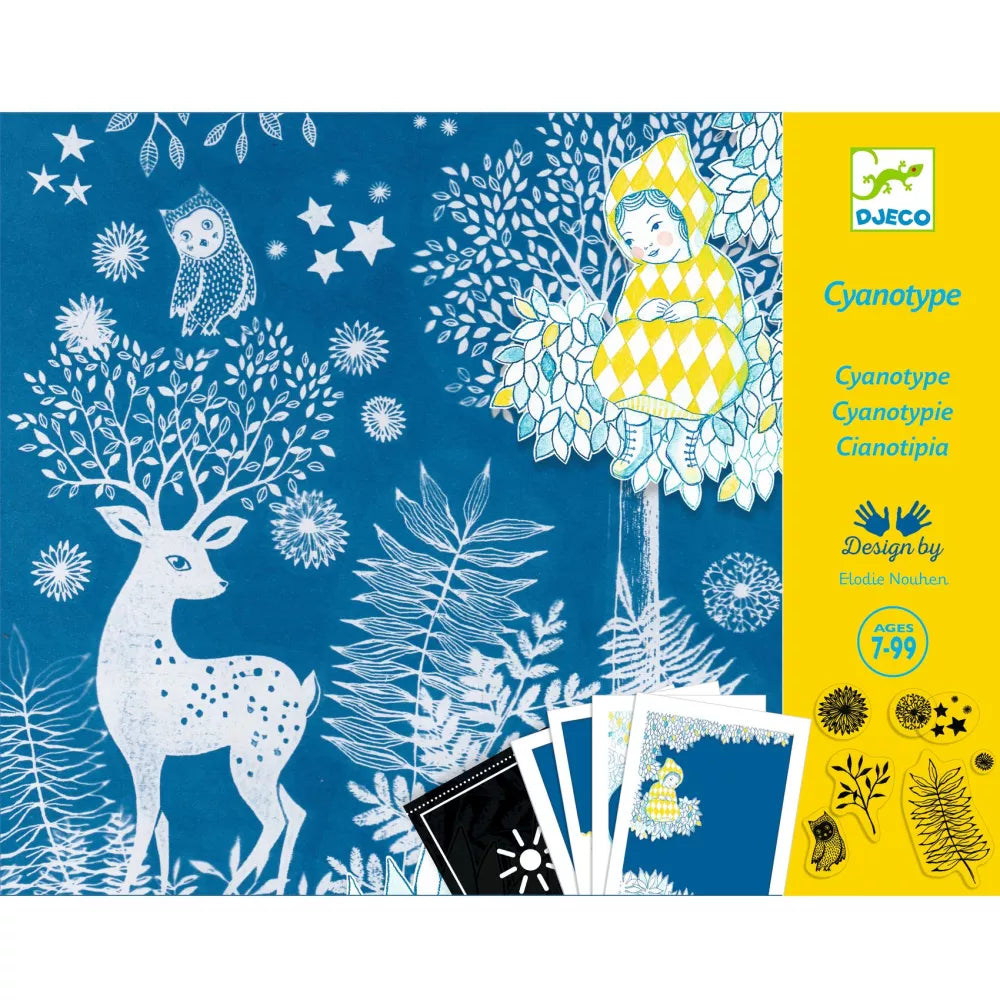 Illustrazione del Set Cianotipia Al Chiaro di Luna Djeco
