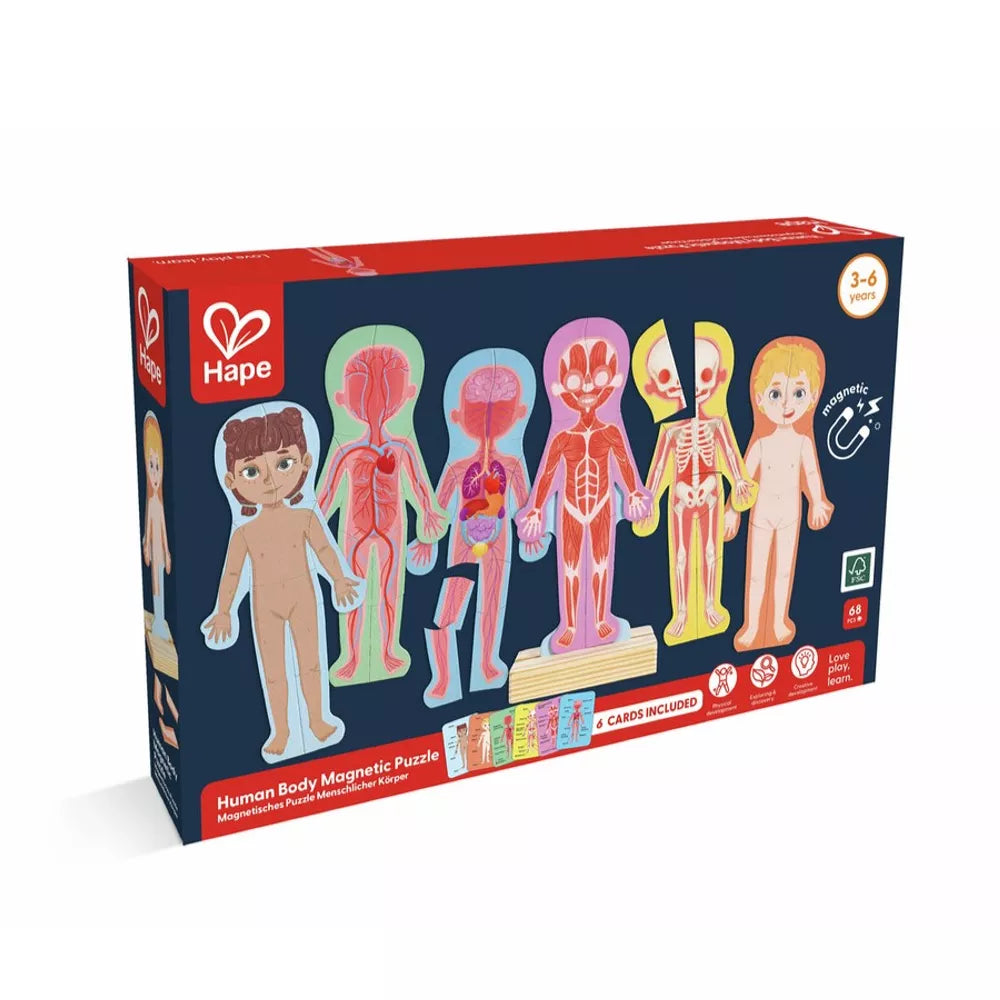 Confezione del Puzzle Magnetico del Corpo Umano Hape