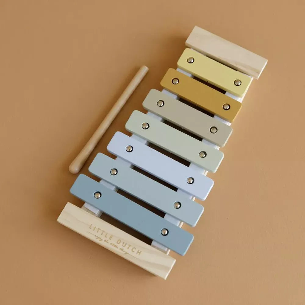 Esempio Xilofono Blu Little Dutch