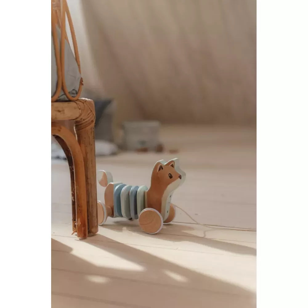 Volpe Trainabile Little Dutch in casa