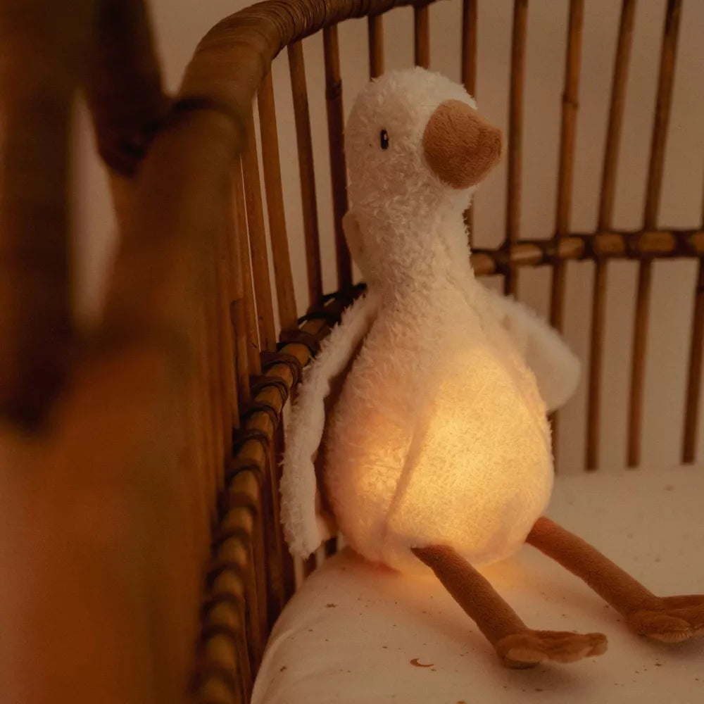 Esempio Ochetta Luci e Suoni Little Dutch illuminata