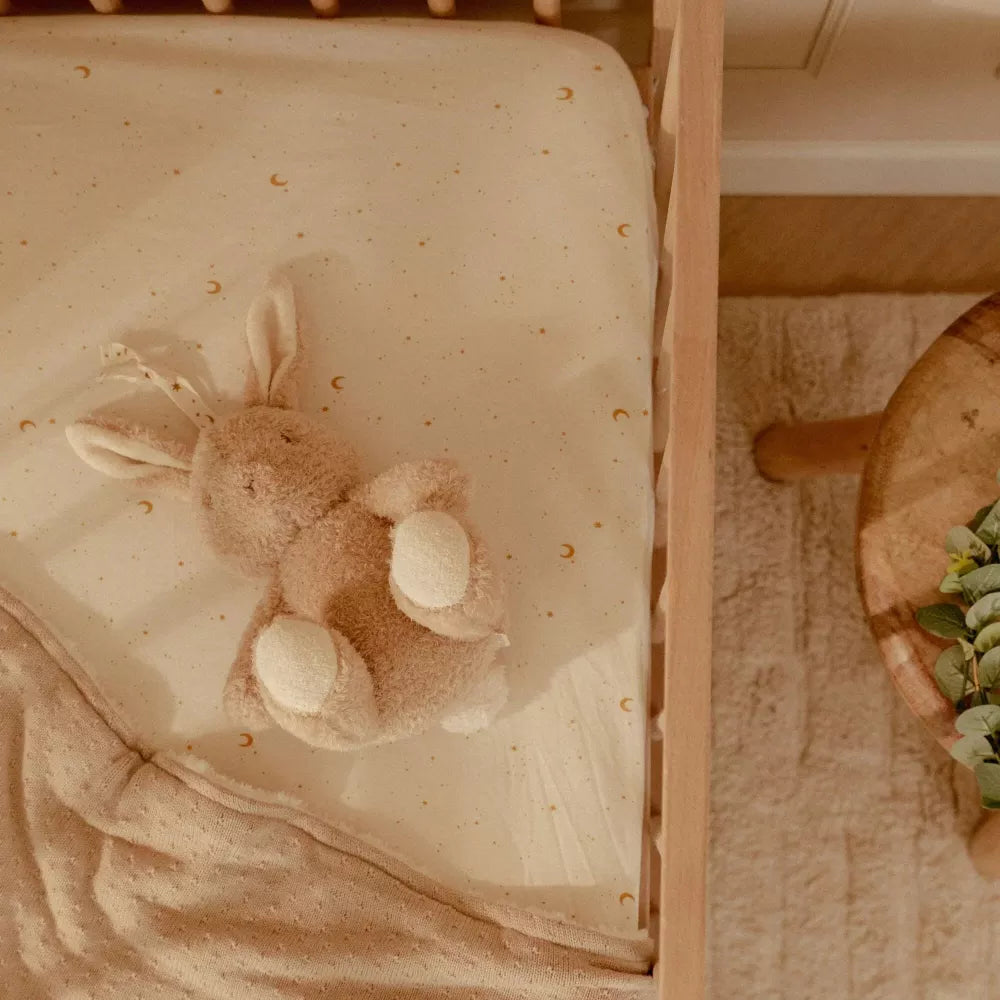 Esempio Coniglietto Luci e Suoni Little Dutch