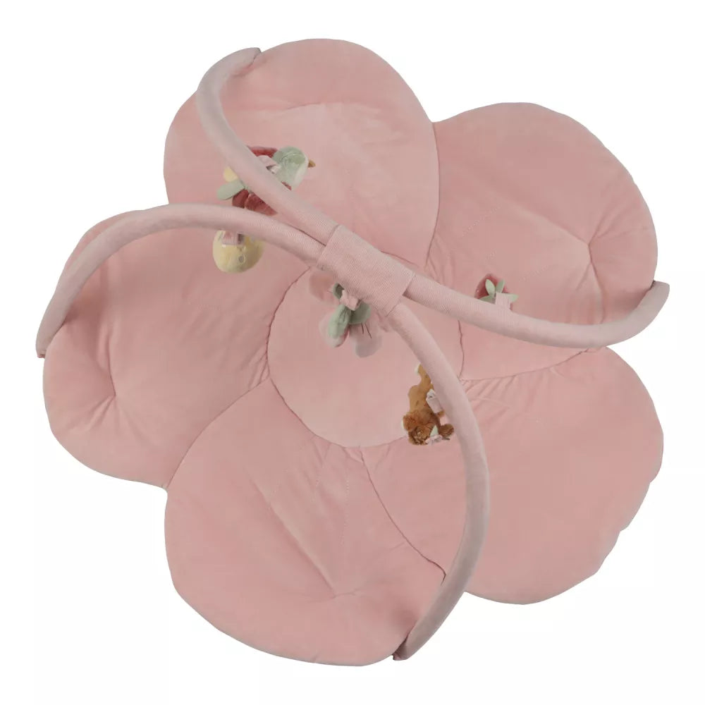 Palestrina Morbida Little Dutch Fairy Garden vista dall'alto