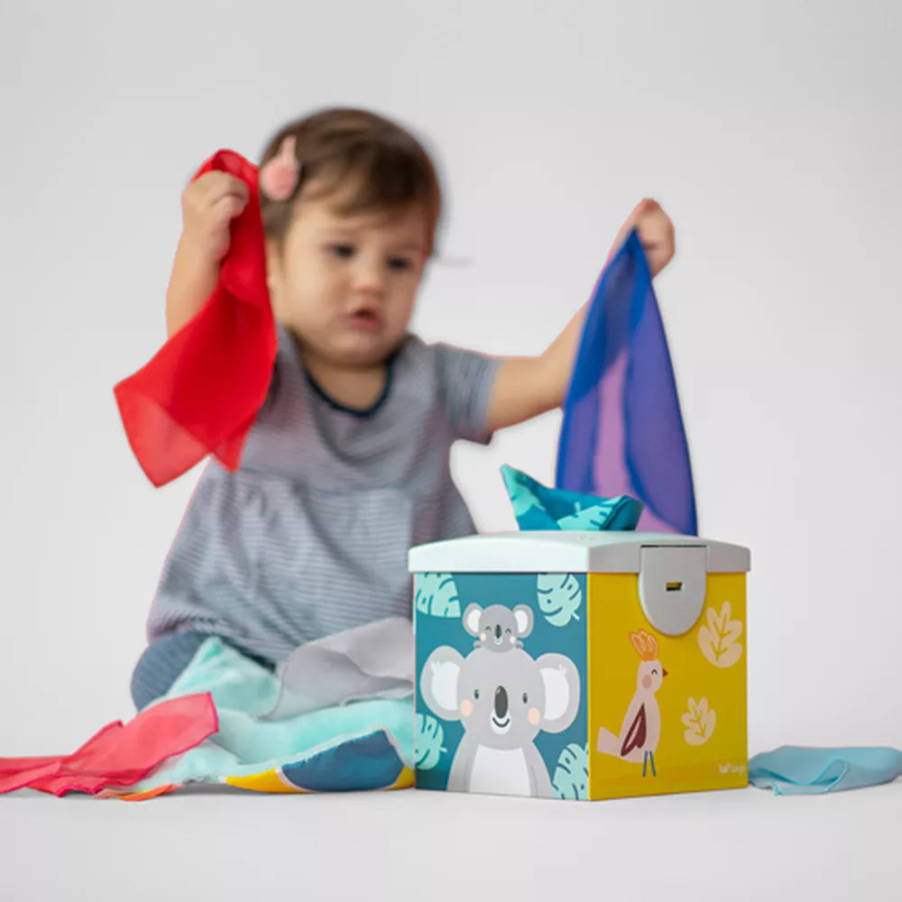 Bambino gioca con la Scatola di Fazzoletti Kimmy Koala Taf Toys