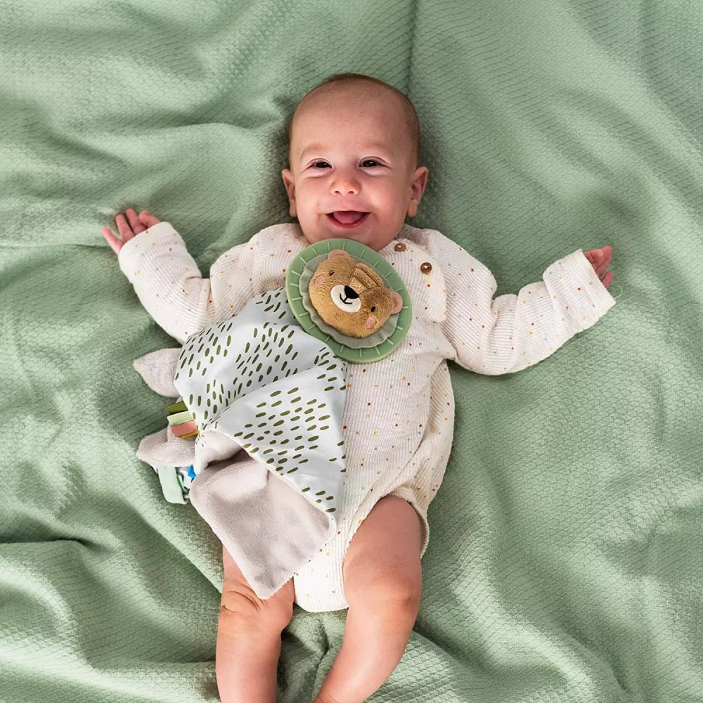 Bambino con il Doudou Leone Harry Taf Toys