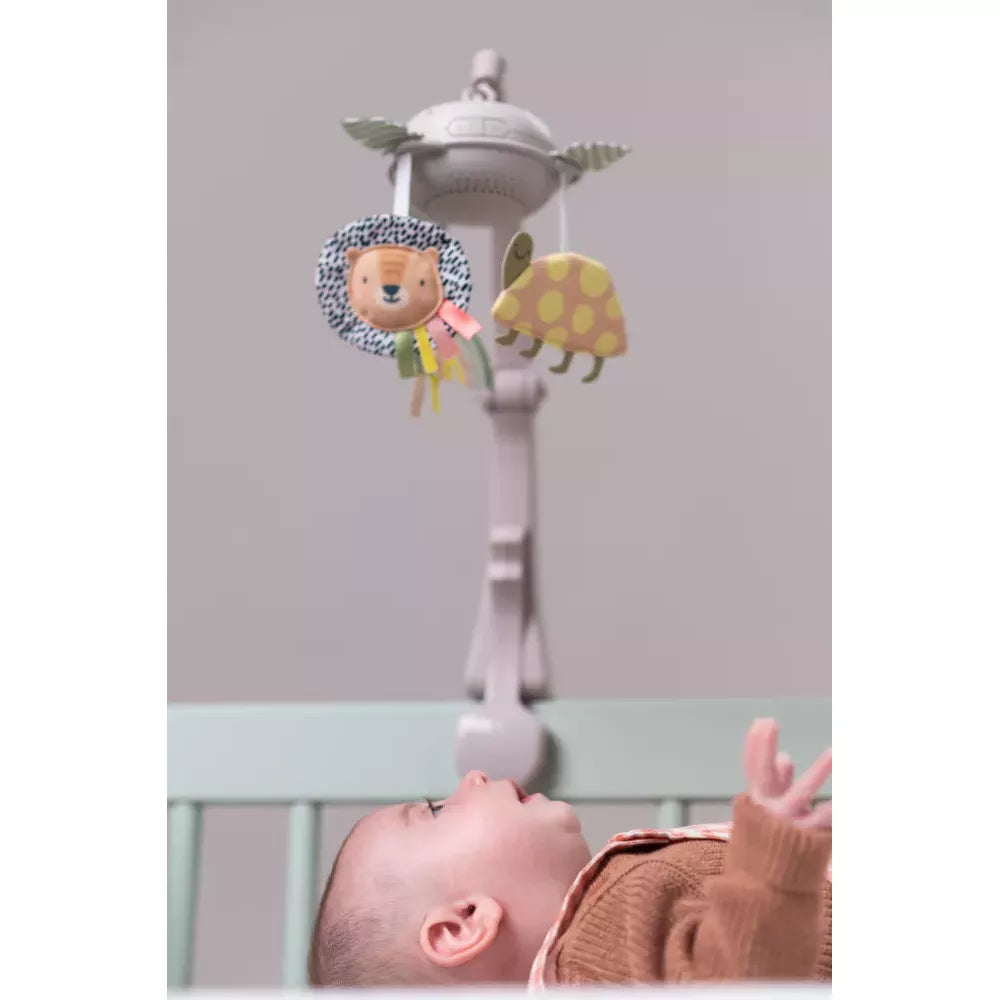 Bambino guarda la Giostrina Musicale Savana Taf Toys