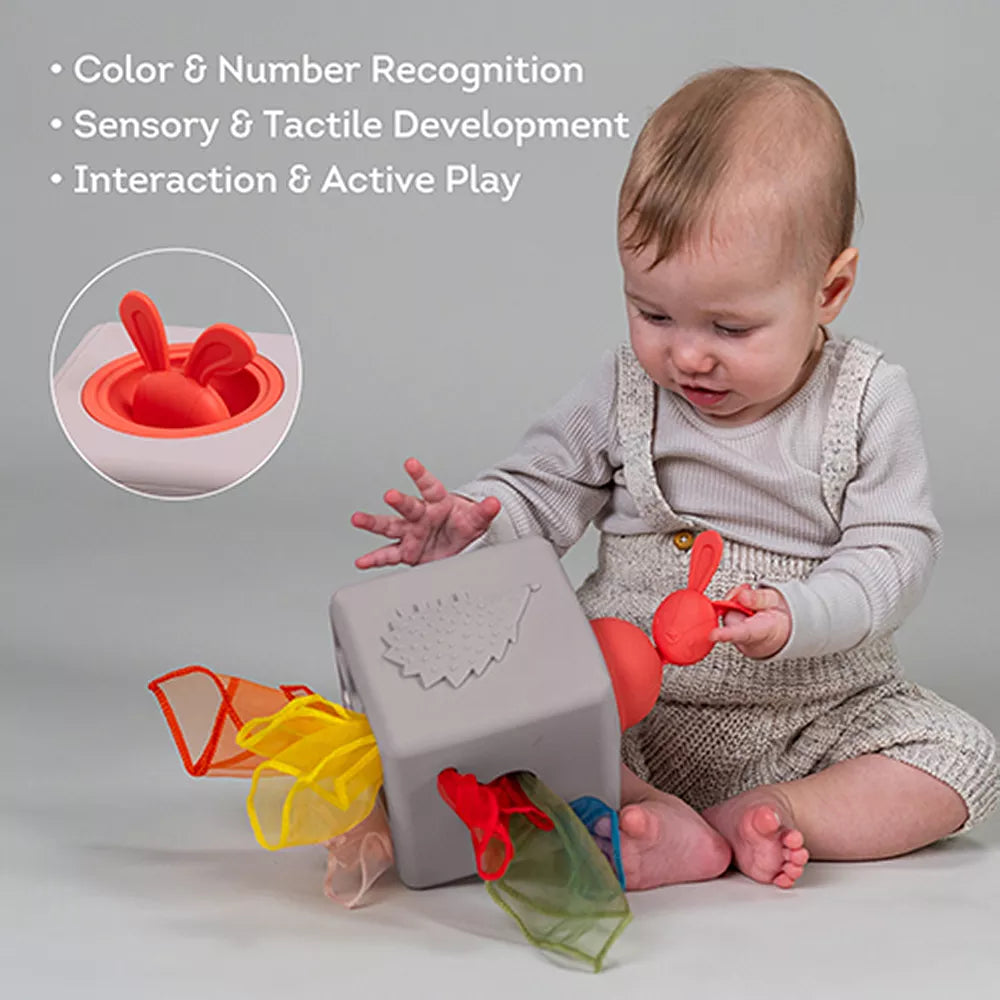 Bambino gioca con la Scatola di Fazzoletti Pop Up Taf Toys