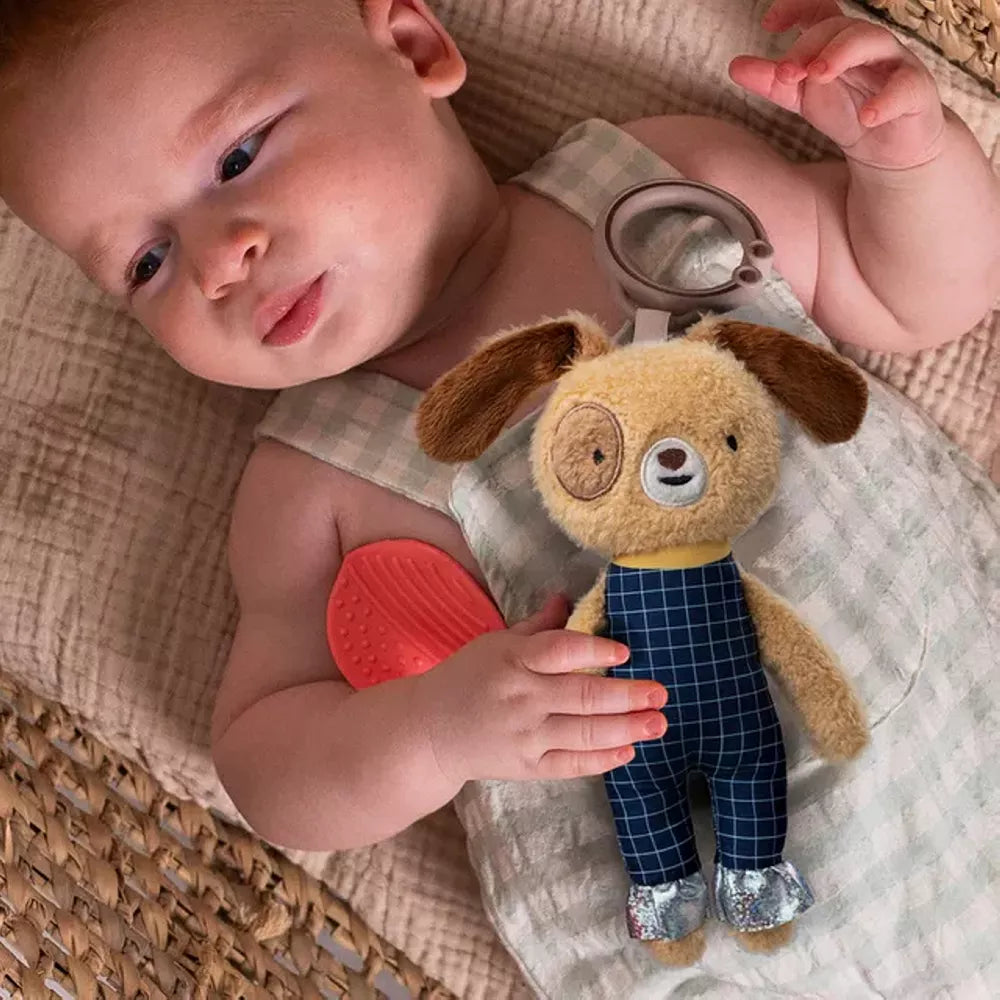 Bambino con il Sonaglio da Appendere Cane Taf Toys