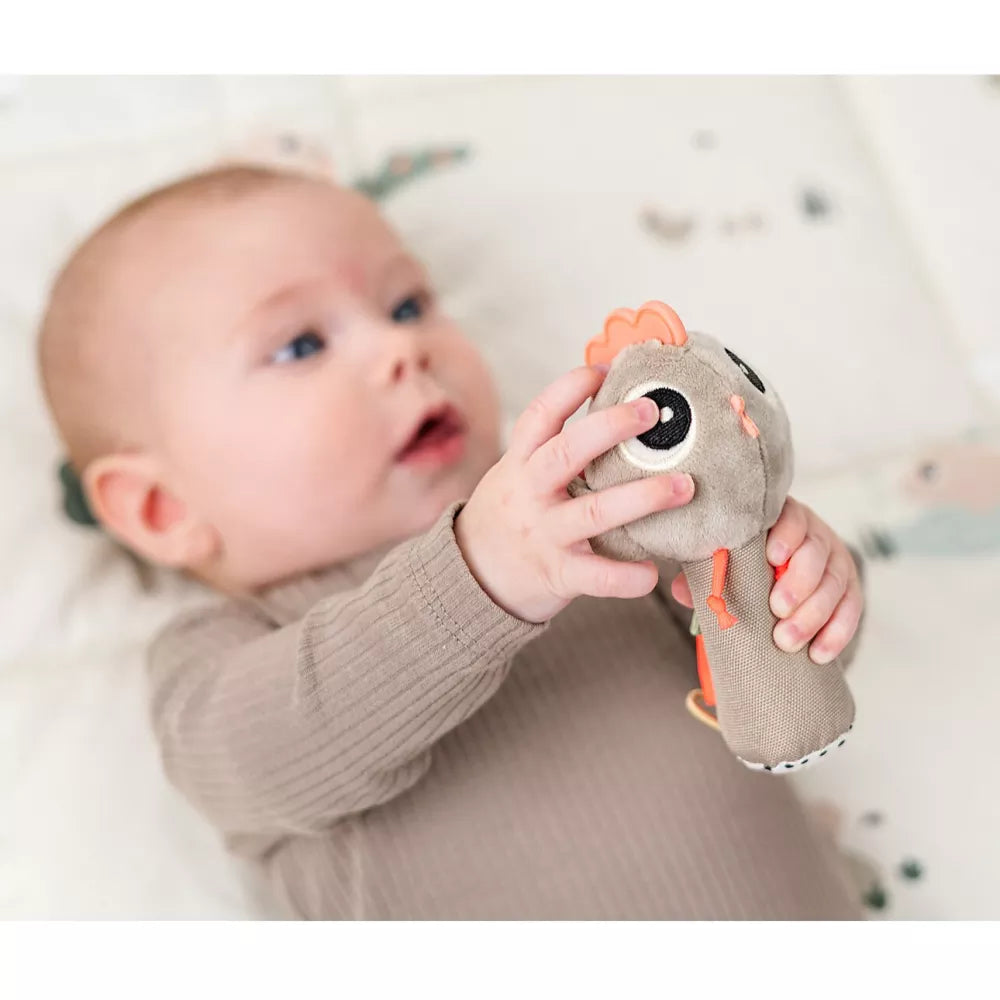 Bambino gioca con il Sonaglio con Massaggiagengive Birdee Done by Deer