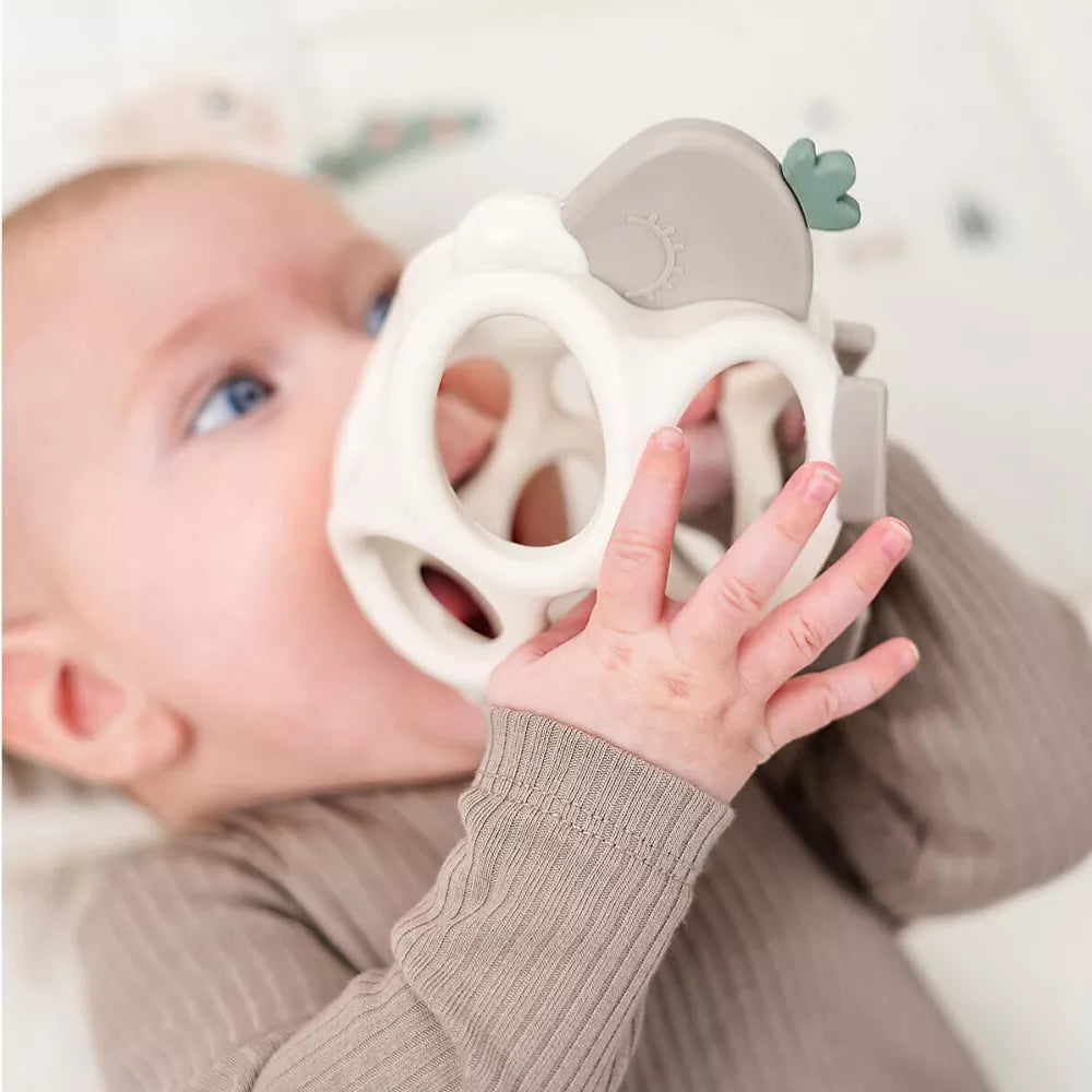 Bambino morde la Pecorella da Dentizione Done by Deer