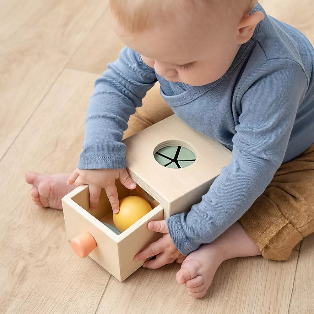 Bambino gioca con la Scatola della Permanenza Done by Deer