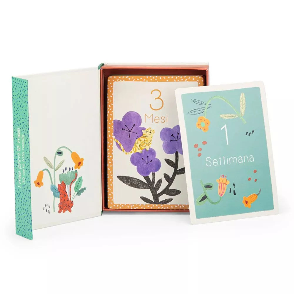 Carte Primi 12 Mesi Moulin Roty La Foret Mawa