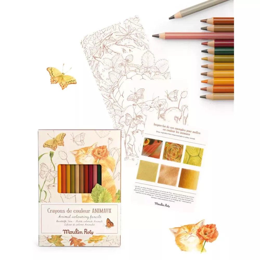 Esempio Set 12 Matite Colorate e Schede Moulin Roty Animali