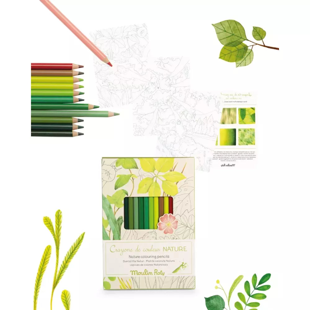 Esempio Set 12 Matite Colorate e Schede Moulin Roty Natura