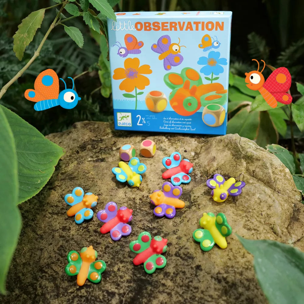 Esempio Gioco d'Osservazione Little Observation Djeco