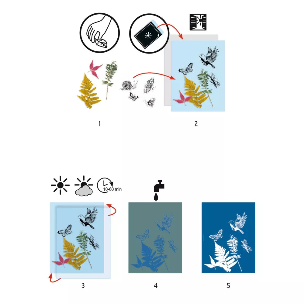 Istruzioni Starter Kit Cianotipia Djeco
