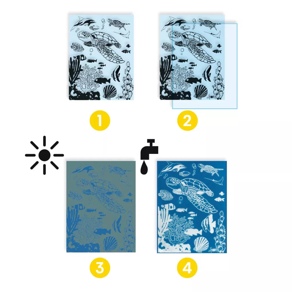 Istruzioni Set Cianotipia Oltremare Djeco