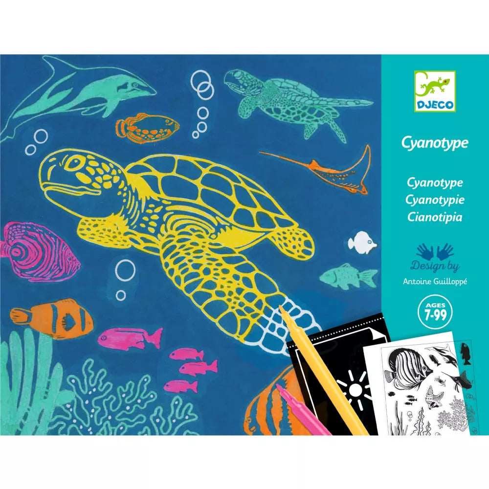 Illustrazione del Set Cianotipia Oltremare Djeco