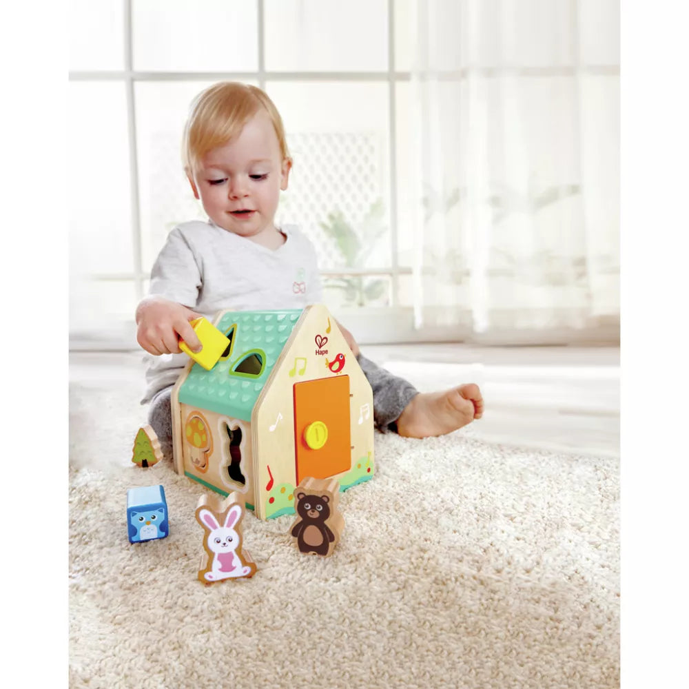 Bambino gioca con la Casa delle Forme in Legno Hape
