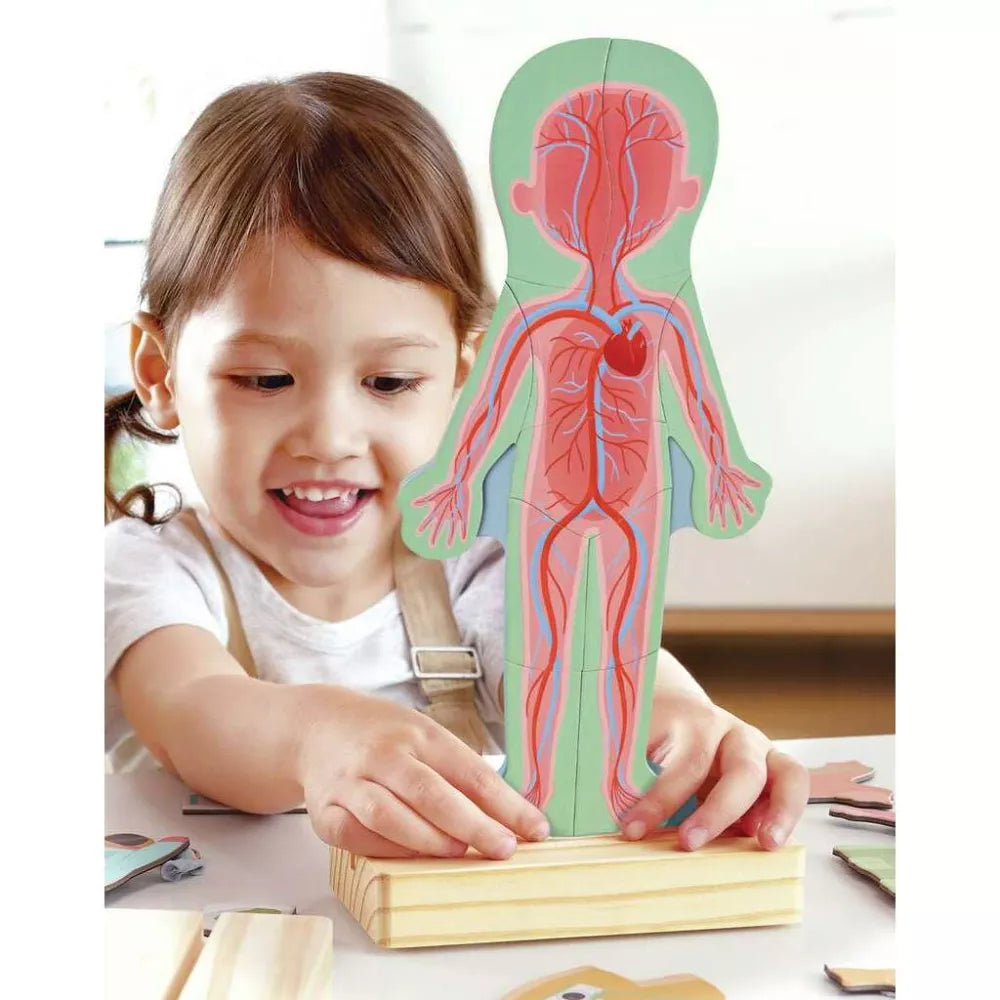 Bambina gioca con il Puzzle Magnetico del Corpo Umano Hape