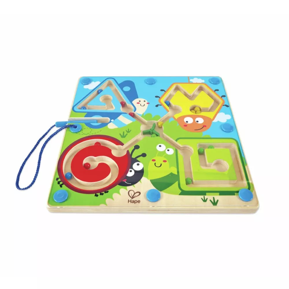 Esempio Labirinto Magnetico Insetti Hape