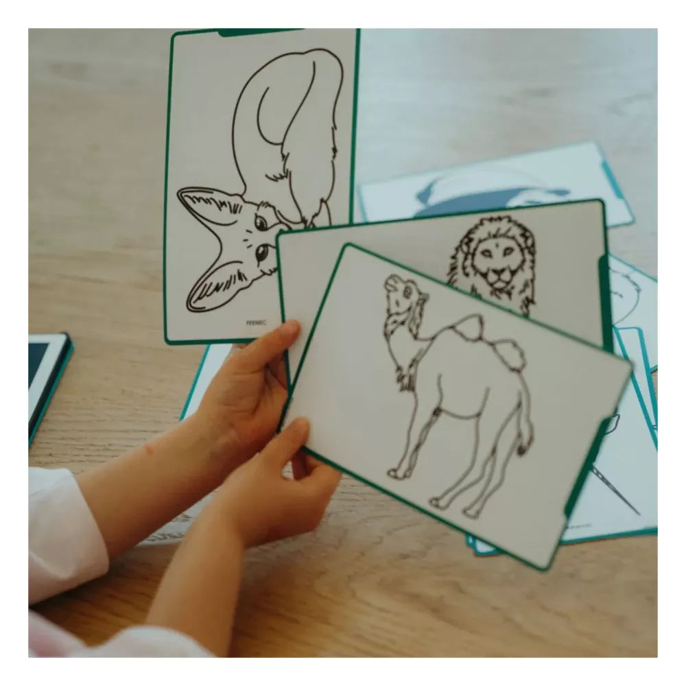 Esempio Mini Tablet da Disegno Kidywolf animali del mondo