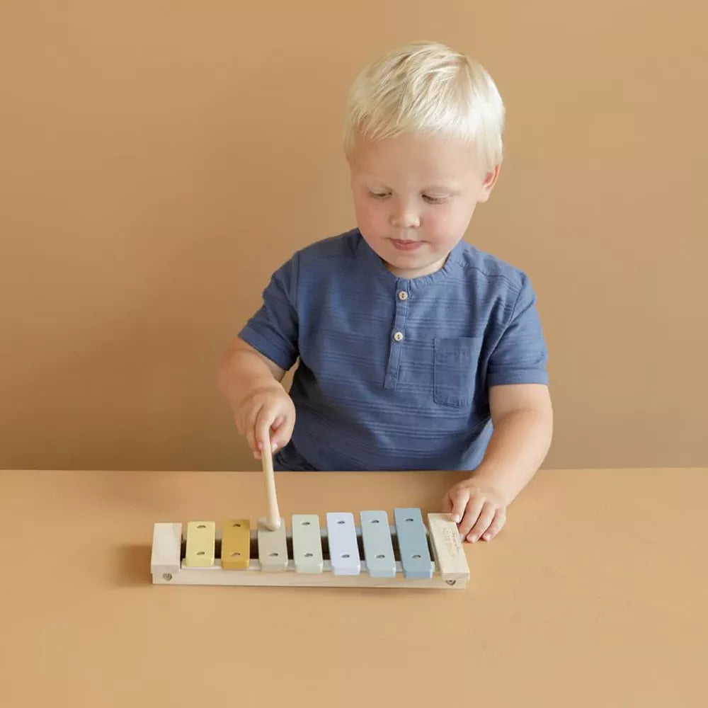 Bambino suona lo Xilofono Blu Little Dutch