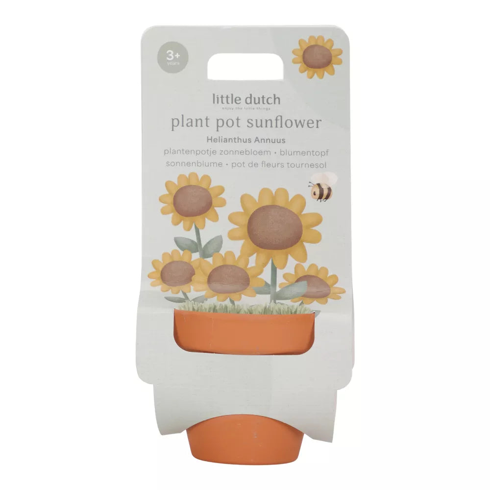 Vasetto con Semi di Girasole Little Dutch