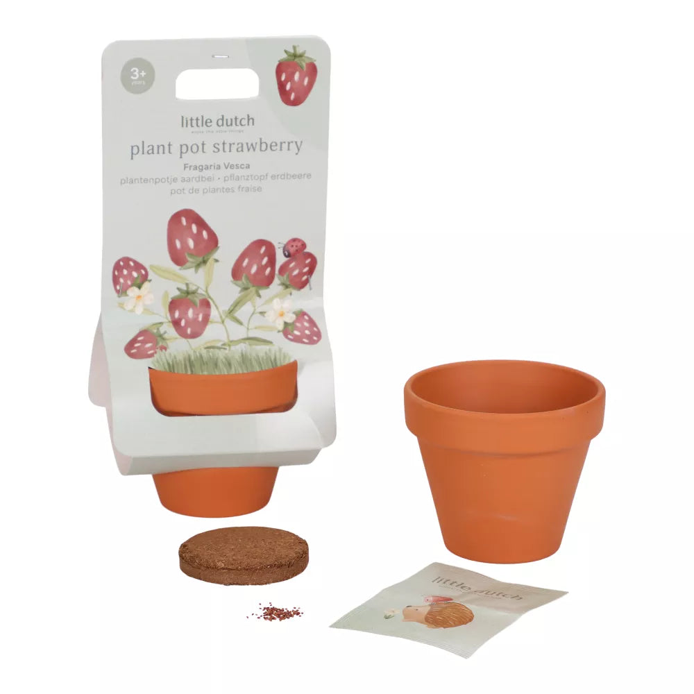 Vasetto con Semi di Fragole Little Dutch Contenuto