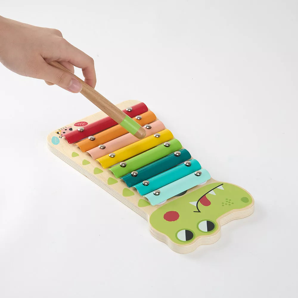 Persona suona lo Xilofono Coccodrillo Tooky Toy